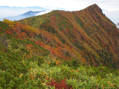 P9246194.JPG