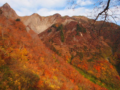 PA206412.JPG